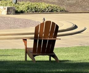 新卒で職に困る場合の対処は。。。