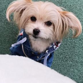 ♡ 今年もありがとうございました☆2025年 完 ｡◕‿◕｡ ♡