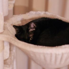 そういう日もある。