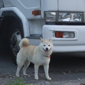 荷下ろしを終えて 🚛
