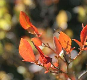 今日も、平穏で