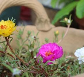 6時、7時、そして17時