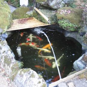 さあ、復活ののろしだ！ 〜水漏れ補修42時間経過・注水開始〜