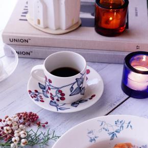 緩衝紙まで見応えあり！届いたー♪記念すべき「ルノのフロストベリー」