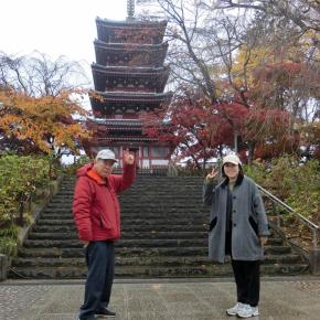 松戸市の本土寺・紅葉真っ盛り・赤黄色・山門から五重塔・本堂まで