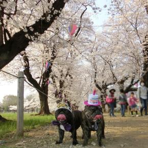 ☆☆ 祝 4歳 ☆☆