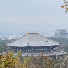 奈良 若草山から橿原神宮 令和7年12月