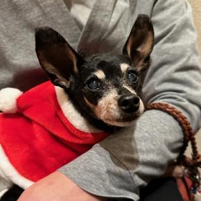 こけし家と忘年会 その2