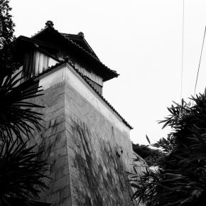 島巡りの夏～フィルム編(2025年8月某日) その2