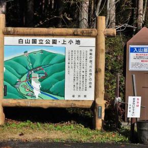 おしゃべりサロンで