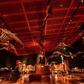 日本で最も有名な化石と全国有数の炭鉱の歴史を今に語る【いわき市石炭・化石館 ほるる】