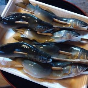 ♬1月は正月で酒が呑めるぞ～♬