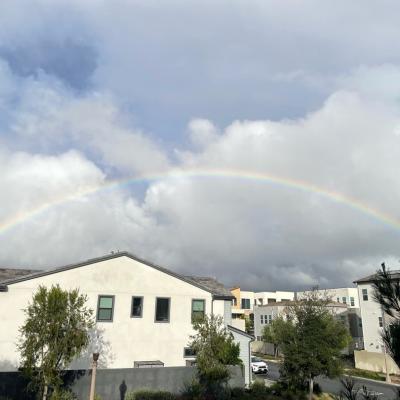 茅乃舎東京限定かつお出汁のお雑煮