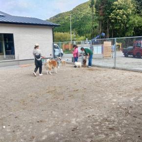 憂鬱な里帰りな姫ちゃん