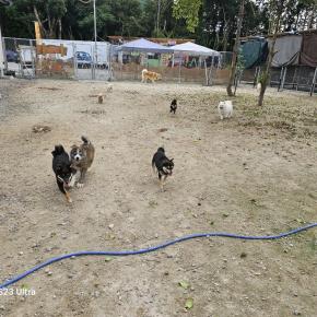 夏祭りの時間は