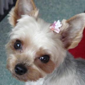 スッキリして来た！