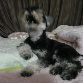 新しい年も始まり