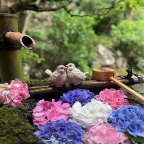 予定の無い休日は…無いのか？