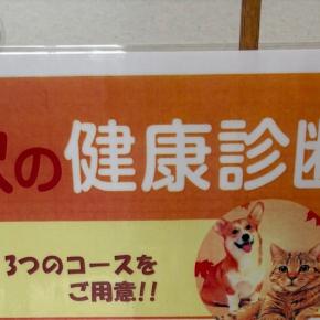 秋の健康診断＆足の骨の話&万博(認知度・介護・未来の都市)