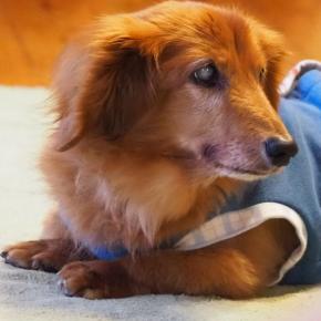 2026年が明けました♪