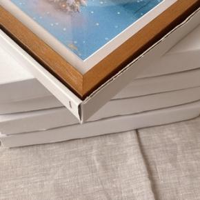 ビションフェスに行ってこようか。