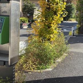 おにぎり屋さんのリップサービス。