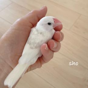 お迎えしました。