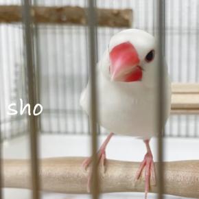 いい事あるかな⁈