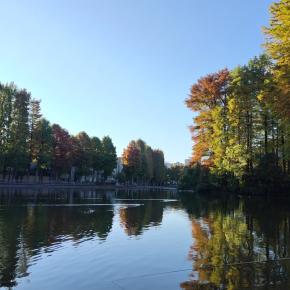 小物釣り in 別所沼公園