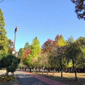 小物釣り in 別所沼公園