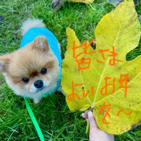 2024/12/31 ごあいさつ