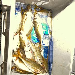 ボートアジングへ