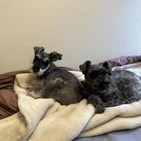 あけましておめでとうございます♪