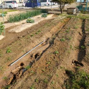 とある日の休日