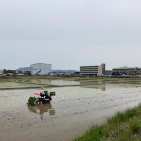 今年も無事田植えが終わりました