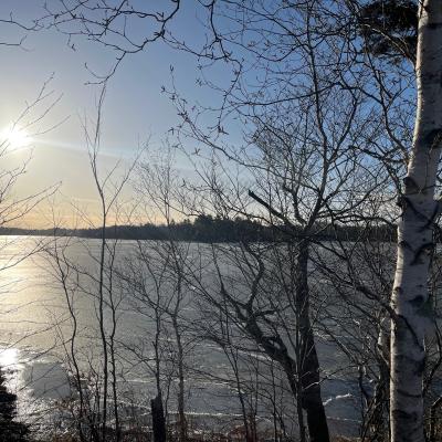 A Happy New Year！（2026）