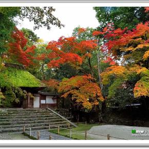 雅の紅－古都 秋の章－ VOL.26