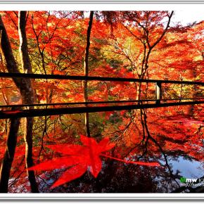 雅の紅－古都 秋の章－ VOL.27