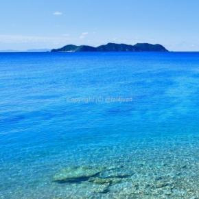 加計呂麻島～須子茂海岸~('ω')ノ