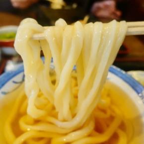 速報! 今年最後のう「うどん県遠征 」