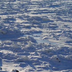家族みな違って当たり前
