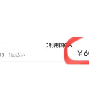 【カナダ留学マネー事情②】次男の虫歯1本の治療費と銀歯