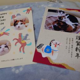 今年もよろしくお願いします♪