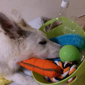 疲れたぁ～Zzz…(*´?｀*)｡o○