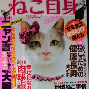 猫様グッズ＆お知らせ