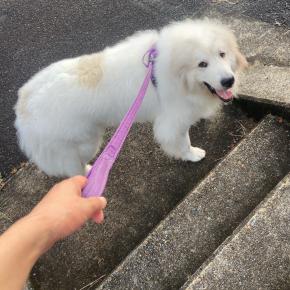 チビまる子とオイオイ星太☆