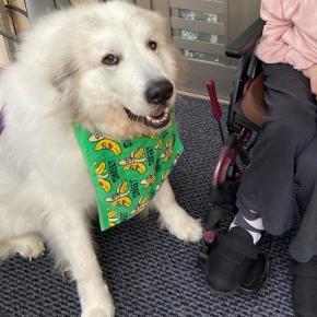 いい仕事しましたよ☆