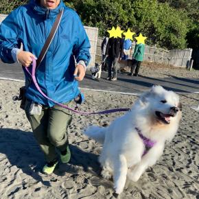 ヘソ天まる子とひゃっほーい星太☆