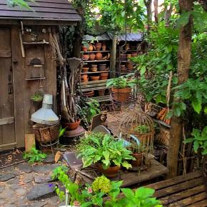 いつの頃から雨が・・・♪