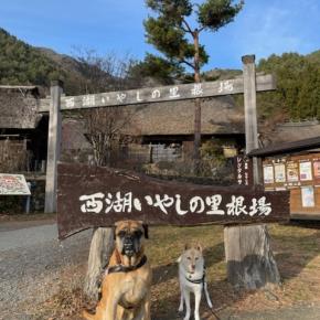 西湖いやしの里根場